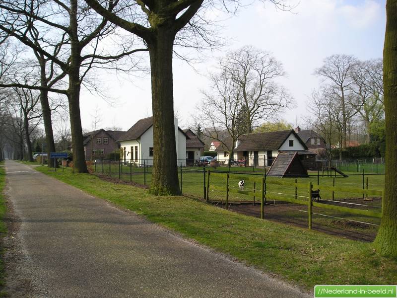Luchtfoto's Griendtsveen / foto's Griendtsveen Nederlandinbeeld.nl