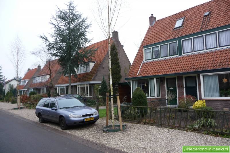 Prostitutes Driebergen-Rijsenburg