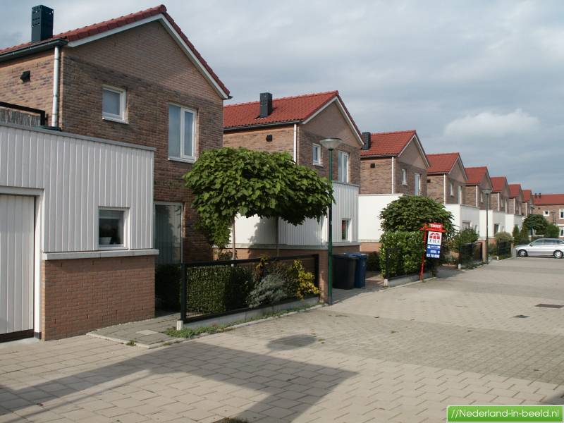 foto1.jpg