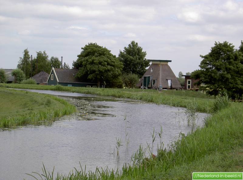 Mirjam de Zus van Mozes Haar Leven en Rol in de Bijbel