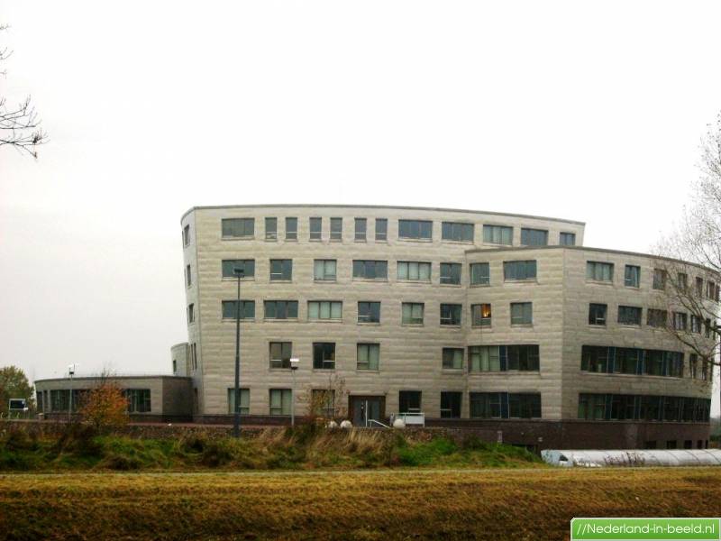 foto11.jpg