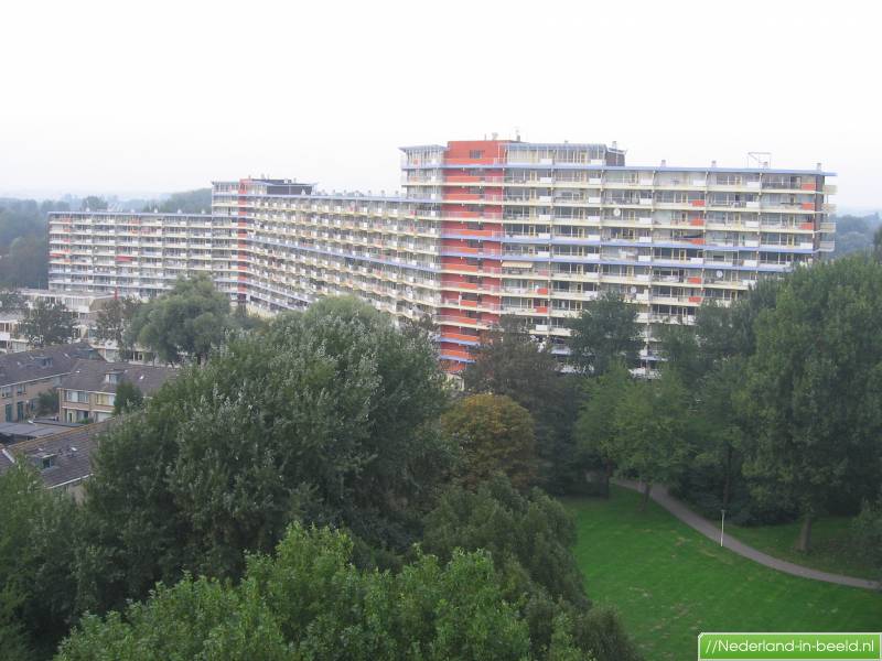 foto2.jpg
