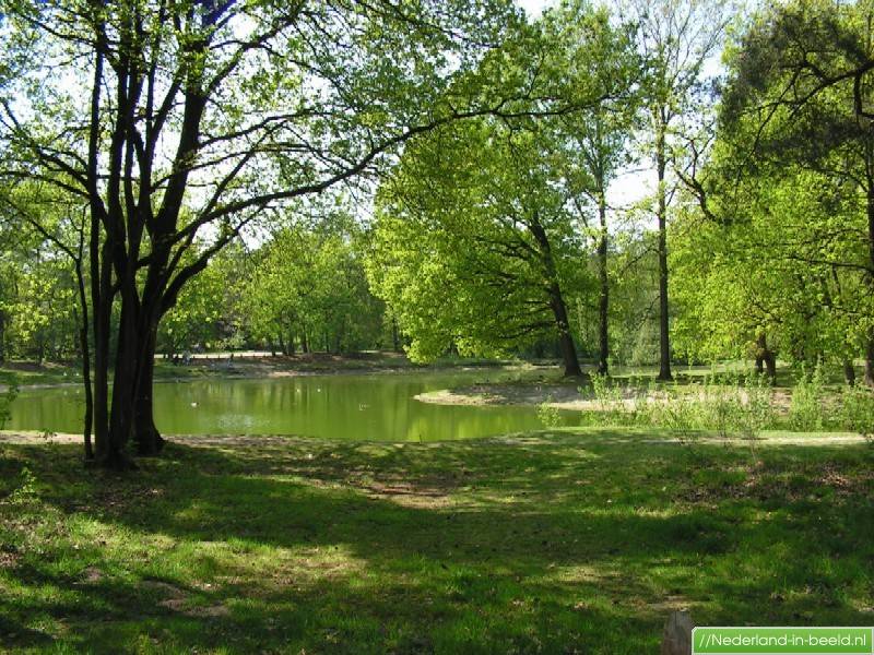 Luchtfoto's Ermelo / foto's Ermelo Nederlandinbeeld.nl