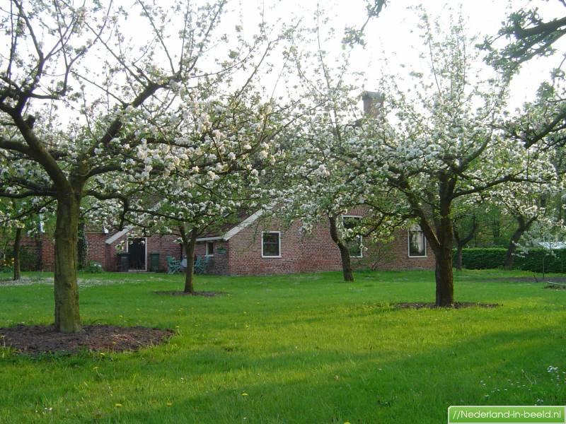 Luchtfoto's Onstwedde / foto's Onstwedde Nederlandinbeeld.nl