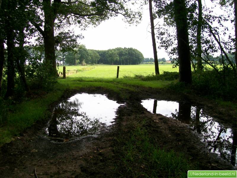 Rijsbergen  BHIC