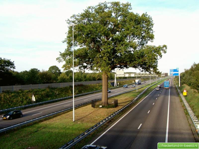 Ulvenhout > Molenstraat luchtfoto's / foto's Nederlandinbeeld.nl