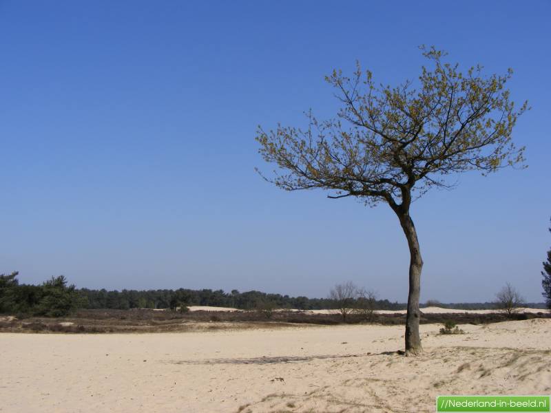 Luchtfoto S Loon Op Zand Foto S Loon Op Zand Nederland In Beeld Nl
