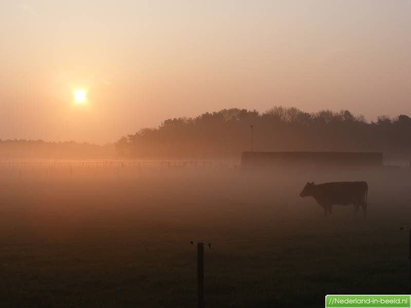 Luchtfoto S Loon Op Zand Foto S Loon Op Zand Nederland In Beeld Nl