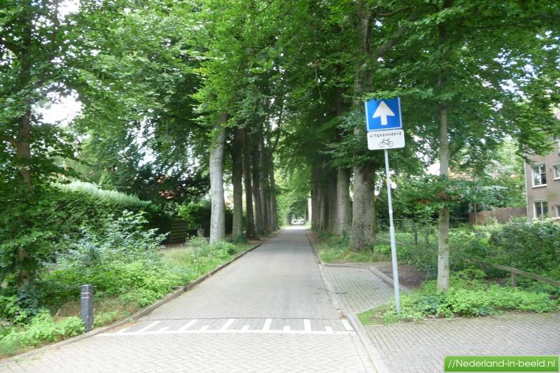 Luchtfoto's Driebergenrijsenburg / foto's Driebergenrijsenburg