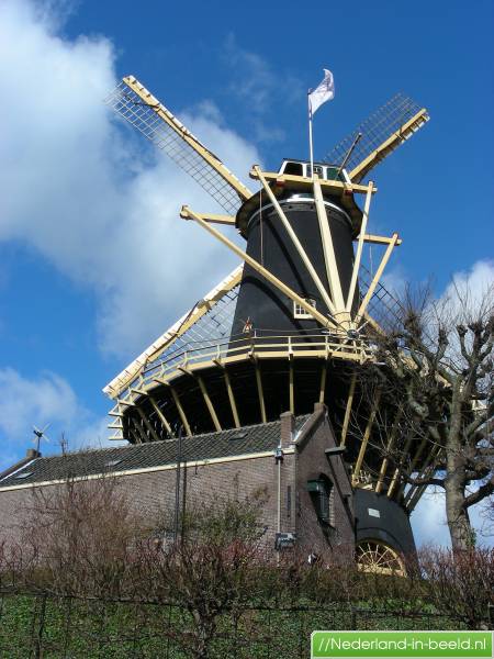 Woerden > Rietveld luchtfoto's / foto's Nederlandinbeeld.nl