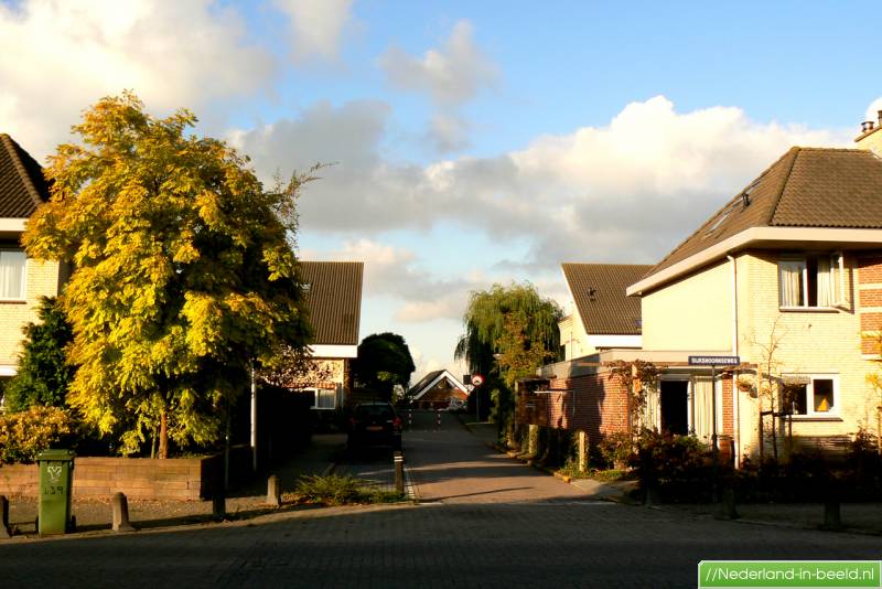 Den Hoorn Zh > Hoornsekade luchtfoto's / foto's ...