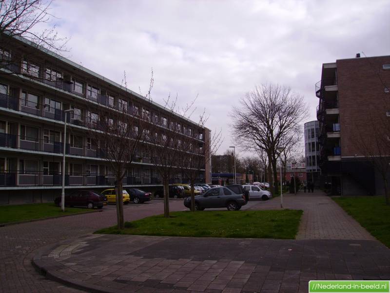 Rotterdam > Vijverhofstraat luchtfoto