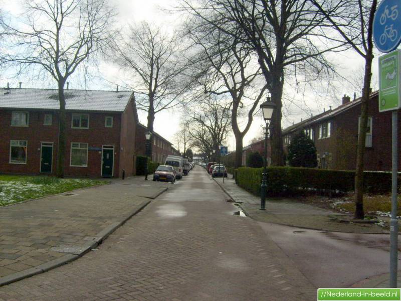 Rotterdam > Vijverhofstraat luchtfoto