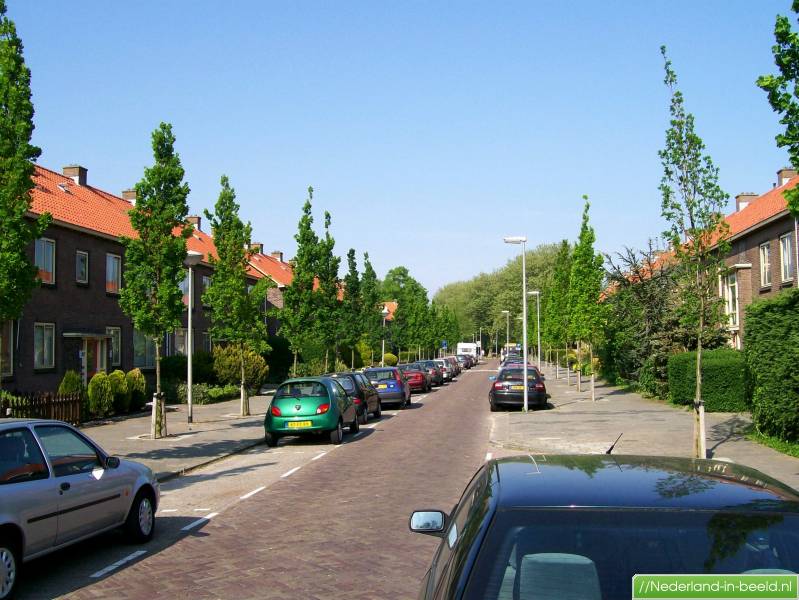 30 bezienswaardigheden in Waddinxveen  Lokaal daten