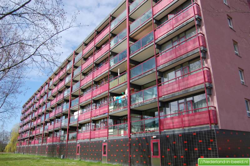 Luchtfoto's Leiderdorp / foto's Leiderdorp | Nederland-in-beeld.nl